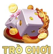Hỗ trợ chuyên nghiệp